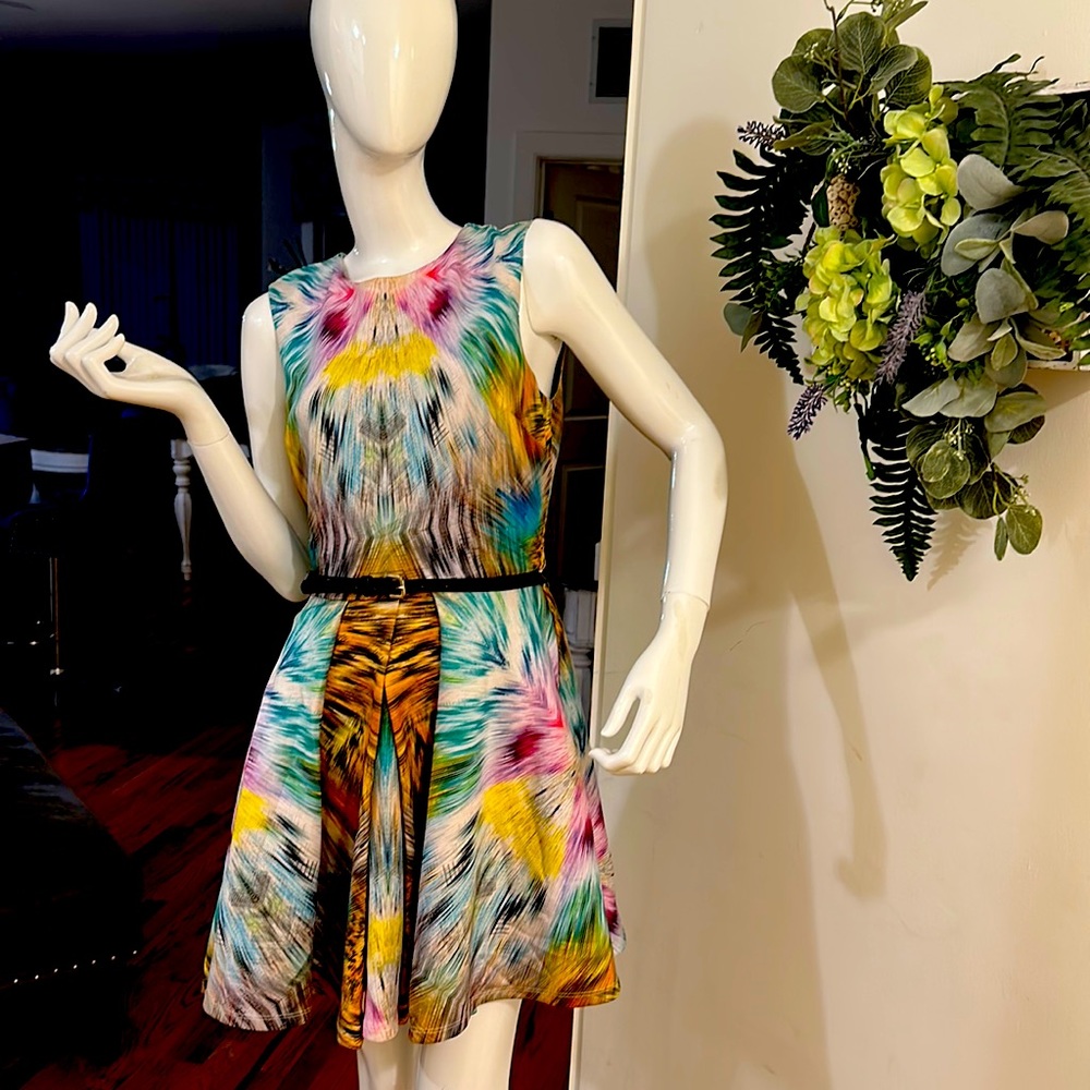 Bebe fit n flare multicolor dress